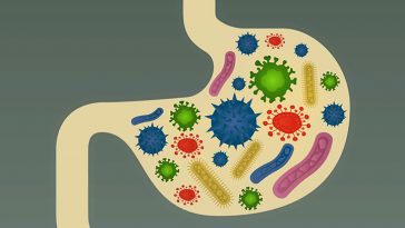 Molecular Hydrogen and Gut Health